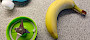 Quetschi Rezept 1 - Banane, Erdbeere, Apfel Quetschi Rezept 1 - Banane, Erdbeere, Apfel - © www.lifetester.net