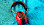 Der Gehörschutz von Vanderfields auf blauem Samthintergrund 