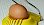 Ein gelber Eierschneider mit eingelegtem Ei (mit Schale) - © EME / Pixabay