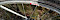Test - Continental Grand Prix 4 Seasons Rennradreifen - ©www.lifetester.net