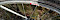 Test - Continental Grand Prix 4 Seasons Rennradreifen - ©www.lifetester.net
