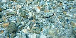 Bild auf Website: www.lifetester.net Bild auf Website: www.lifetester.net - © www.lifetester.net