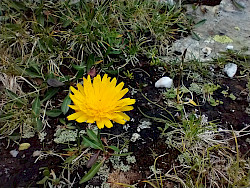 Bild auf Website: www.lifetester.net Bild auf Website: www.lifetester.net - © www.lifetester.net