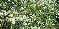 Bild auf Website: www.lifetester.net Bild auf Website: www.lifetester.net - © www.lifetester.net