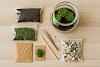 Mini-Terrarien-Sets bringen Natur ins Kinderzimmer – ein kreatives Geschenk zum Gestalten, Beobachten und Staunen.